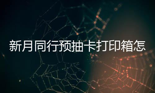 新月同行预抽卡打印箱怎么选择 新月同行预抽卡打印箱选择攻略 小编提供的攻略一些建议