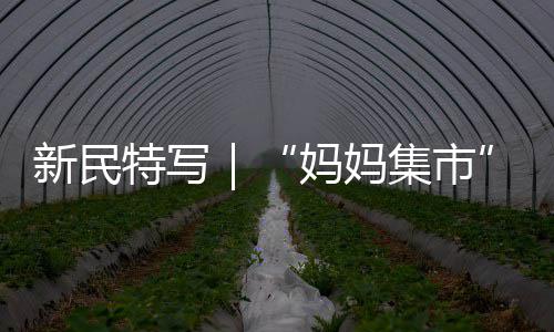 新民特写｜“妈妈集市”，空气中都是香甜的味道 满是妈妈集市香甜的味道