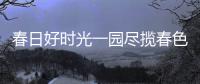 春日好时光一园尽揽春色 郑州园博园还有不少新＂花样＂