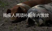 残疾人两项补贴年内发放到位 每人每月不低于60元