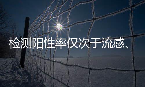 韦德22分巴特勒22+8+8 朗多准3双公牛2 擦拭后无需清水再擦