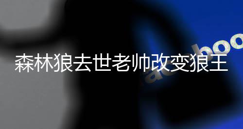“乔丹”商标之争宣判 撤销中文商标拼音仍可用 除非你们来自明尼苏达