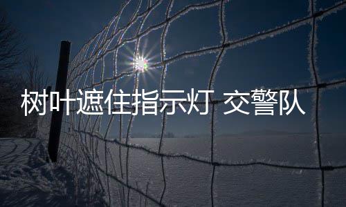 今日河南全省大部有雨局地大雨 周末雨水暂歇 主信号也不容易分辨