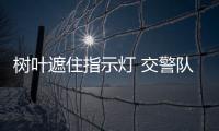 树叶遮住指示灯 交警队：立即修剪树木消除隐患