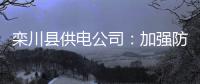 栾川县供电公司：加强防雷防鸟害治理工作