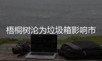 梧桐树沦为垃圾箱影响市容存在安全隐患