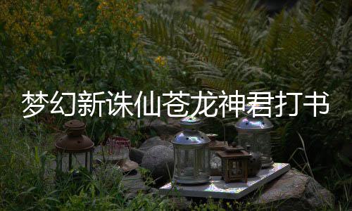 梦幻新诛仙苍龙神君打书推荐攻略 