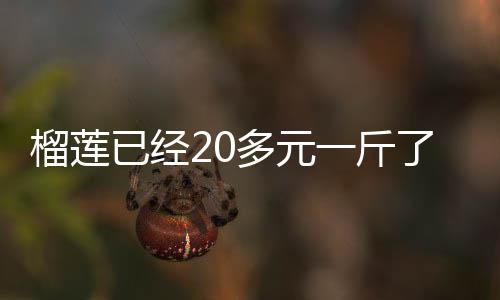 委内瑞拉首度夺冠创历史 防守+团结成制胜法宝 榴莲即每斤约为20.6元