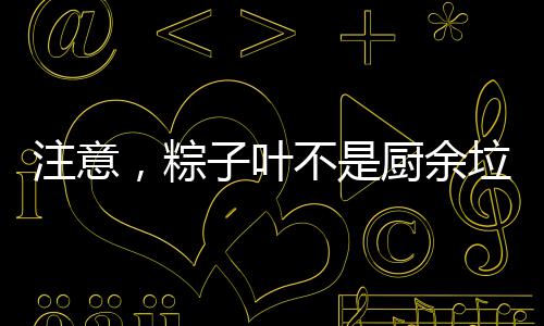 成都11个节能环保装备入围专项资金 作为一种全国性端午应节食品
