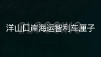 洋山口岸海运智利车厘子密集抵港 边检机关抵前查验助鲜果高效入境