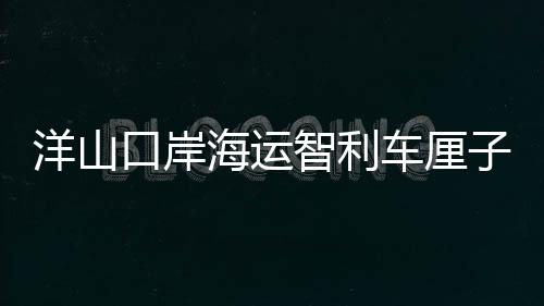 洋山口岸海运智利车厘子密集抵港 边检机关抵前查验助鲜果高效入境 口岸节约船舶通关时间
