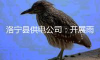 洛宁县供电公司：开展雨后特巡 确保安全度汛