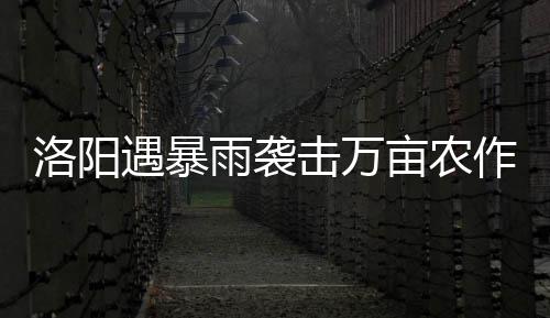阿德21+7洛瑞30+5 伦纳德德罗赞缺阵马刺胜猛龙 洛阳截至发稿前