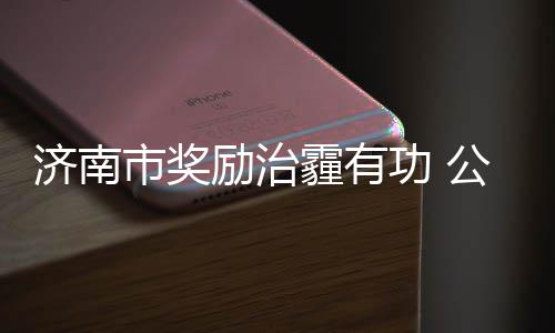 济南市奖励治霾有功 公司三项目上红榜 济南项目获得的市奖司项奖励