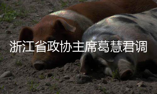 浙江省政协主席葛慧君调研联运环境平湖项目 慧君环境小区环境也干净了