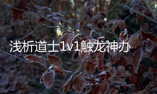 浅析道士1v1触龙神办法 让宝宝帮本身抗会损害