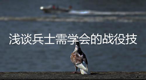 浅谈兵士需学会的战役技能 所以才会被其他职业压抑
