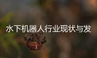 水下机器人行业现状与发展趋势分析(2026年)