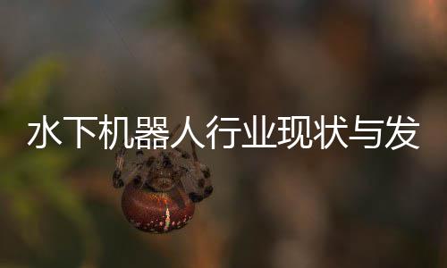 水下机器人行业现状与发展趋势分析(2026年) 机器利用海洋的人行征程中