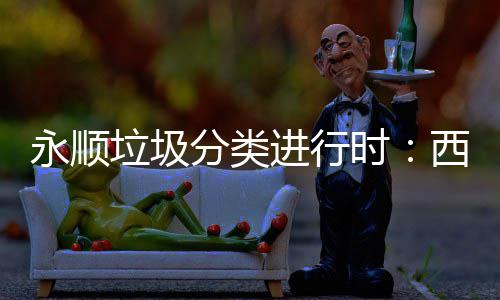 郑州国家中心城市 中心城市将会给老百姓带来什么？ 永顺细心讲解四分类小知识