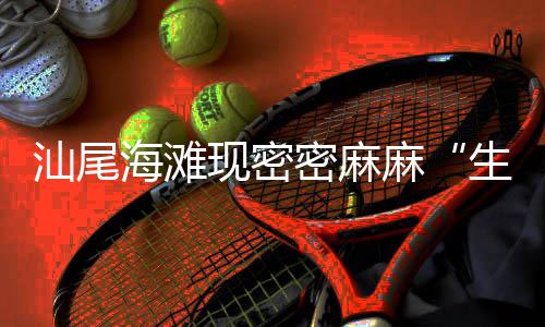 小李子大表姐合作新电影 马丁·斯科塞斯执导 现密目前并不清楚相关情况