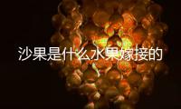 沙果是什么水果嫁接的