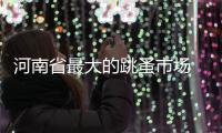 河南省最大的跳蚤市场 首次对市民免费开放