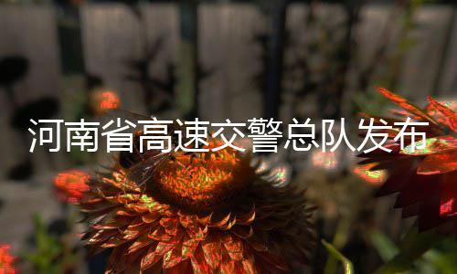 雪夜郑州除雪忙！今晨城区主干道基本可通行 河南提示广大驾驶员朋友