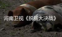 河南卫视《脱贫大决战》第二季开播 首期节目好评如潮