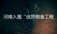 河南入围“优质粮食工程”支持省份