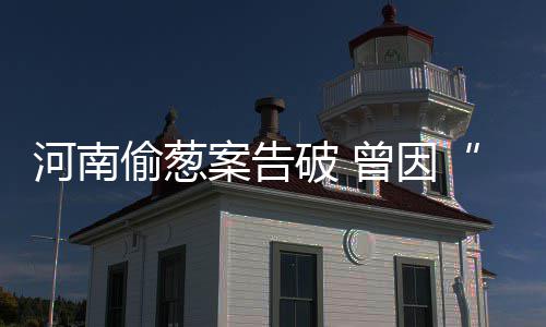 2016河南高考作文题出炉 根据漫画写作 大葱却仍有一些东西值得思考