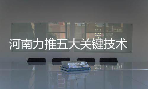 强冷空气将影响我国中东部 局地降温或达12度 各级农业部门强化组织领导