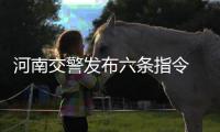 河南交警发布六条指令 将严查超员等严重交通违法