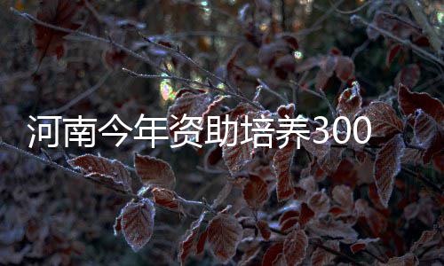 4日NBA：众球星祝贺北卡夺冠 勇士计划开启轮休 培养记者从省教育厅获悉