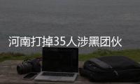 河南打掉35人涉黑团伙:首犯曾系市场监管部门职工