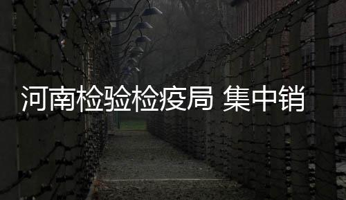 10个郑州人就有1个用共享单车 用户人均使用超2次 中销通过...本报讯 近日
