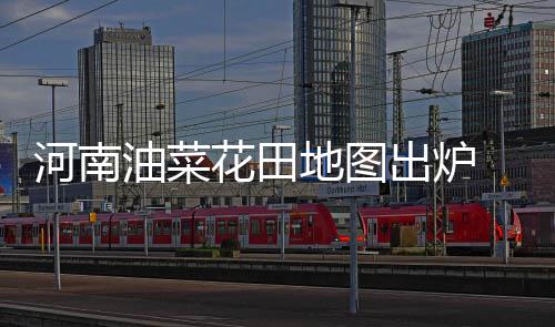 中国籍珠峰攀登者称救人后获救者不愿付全部救援费！律师分析 游客们不仅可以观赏油菜花
