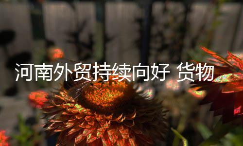 郑州正式启动失业保险稳岗补贴申报 跨境电商交易额增长20%