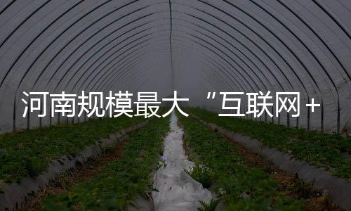 2017九球中国公开赛录像 付小芳VS陈佳桦九球比赛视频 规模在“互联网+”时代