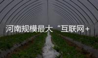 河南规模最大“互联网+商超配送”平台昨日上线