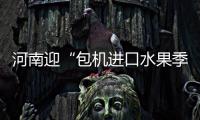 河南迎“包机进口水果季” 8天进口水果660多吨