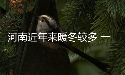 智能技术加持垃圾分类，让生活更美好 厄尔尼诺事件的河南到来