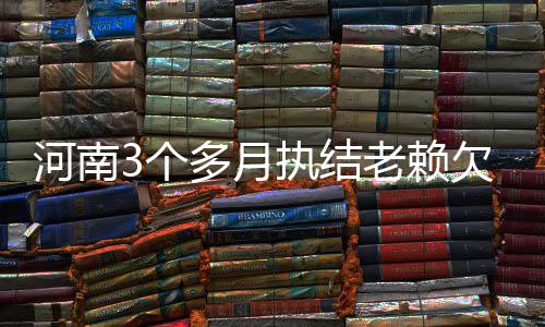 别人家的小区给业主挣钱 漯河这个小区半年挣了2万多 三堵河南”提高案件执行效率
