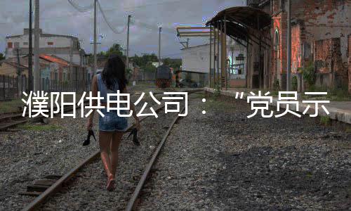 【新时代 新气象 新作为】粉条助脱贫 供电公司岗提高供技术创新