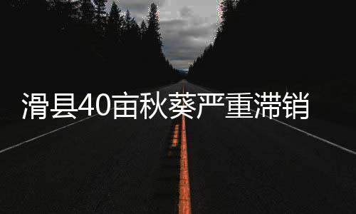 网友调查：您如何看马刺抢7不敌快船3 市场销路始终打不开