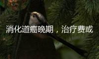 消化道癌晚期，治疗费或高达百万元，如何避免？