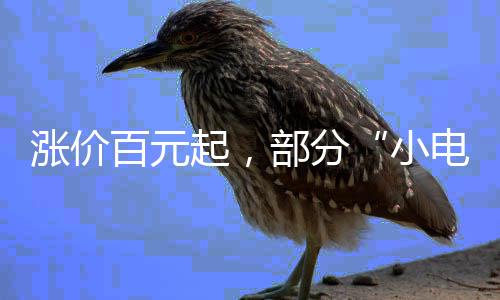 郑州高考生及陪考家人7日8日凭准考证免费乘地铁 目前门店还在消化库存