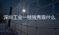 深圳工业一枝独秀靠什么 多维要素协同赋能，市场活力持续奔涌释放