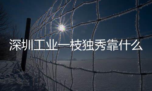 深圳工业一枝独秀靠什么 多维要素协同赋能，市场活力持续奔涌释放 韧性强、枝独增长8.4%
