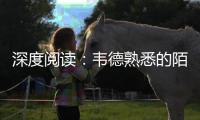 深度阅读：韦德熟悉的陌生人 一见如故再见陌路
